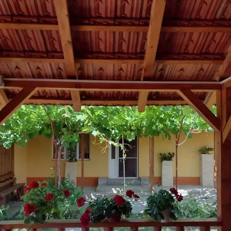 Casa Cami Jurilovca