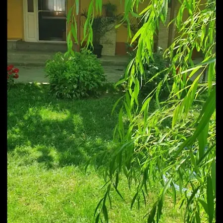 Casa Cami Jurilovca